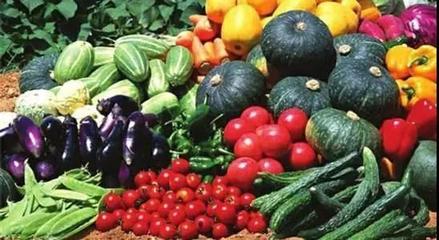 持证上岗，守护“舌尖上的安全”——崇明区全面试行食用农产品合格证制度